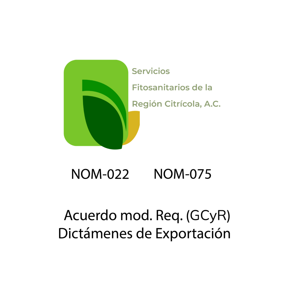HOJA VERDE-12